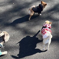 Photo taken at Dewitt Clinton Park Dog Run by Cynthia D. on 2/19/2024