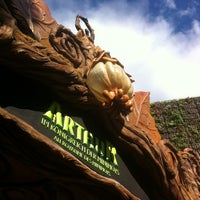 Europa single park rider