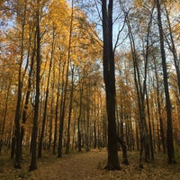 Photo taken at Изотовский сквер by Галина Л. on 10/16/2018