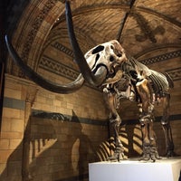 Photo taken at Natural History Museum by Галина Л. on 1/9/2018