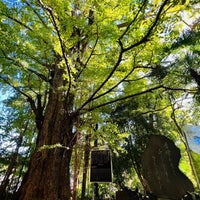 Photo taken at 王子神社のイチョウ by slime on 11/14/2023