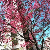 5/25/2015 tarihinde Floriano P.ziyaretçi tarafından Apfel Restaurante Vegetariano'de çekilen fotoğraf