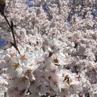 戸倉宿キティパーク 千曲市 長野県