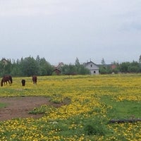 Photo taken at Конюшня Бельведер by Юлия С. on 5/22/2014