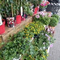 6/6/2016 tarihinde Markus K.ziyaretçi tarafından EDEKA Schenke'de çekilen fotoğraf