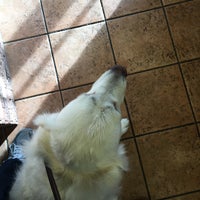 ライオン動物病院 三鷹 3 Tips From 28 Visitors ライオン動物病院 三鷹 3 Tips From 28 Visitors