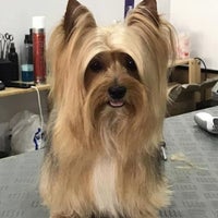 Photo taken at Peluquería Canina Anthares by Business o. on 5/13/2020