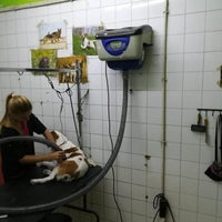 Photo taken at CLÍNICA VETERINARIA FORT PIUS by Business o. on 2/17/2020