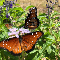 Photo taken at The Cedars Ranch by Business o. on 9/10/2019