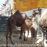 Photo taken at Equitación Peluca by Business o. on 2/16/2020