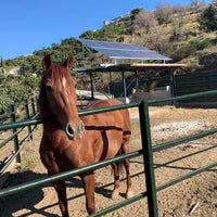 2/17/2020 tarihinde Business o.ziyaretçi tarafından Fimara Solar - Energías Renovables'de çekilen fotoğraf