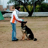 Photo taken at Borgescan Escuela y Residencia Canina by Business o. on 2/16/2020