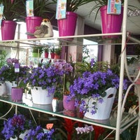 Photo taken at Bouquet Flores y Plantas by Business o. on 5/13/2020