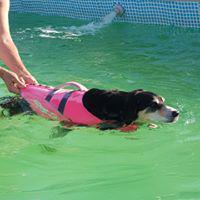 Foto scattata a Peludos Al Agua da Business o. il 2/16/2020