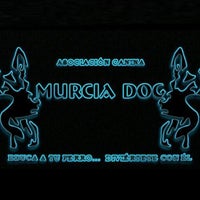 Photo taken at Murcia Dog by Business o. on 5/13/2020