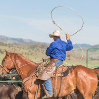 Foto tirada no(a) Wilson Ranches Retreat por Business o. em 7/23/2019