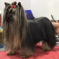Photo taken at Peluquería Canina Anthares by Business o. on 5/13/2020