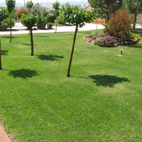 Photo taken at Jardinería Pozo by Business o. on 2/16/2020