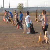 Снимок сделан в Piolcan Adiestramiento Canino y centro de formación пользователем Business o. 3/6/2020