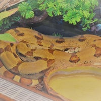 Photo taken at Reptil Parc by Business o. on 3/9/2020