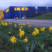 Photo prise au IKEA par Business o. le3/15/2020