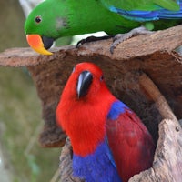 Photo taken at Birdworld by Business o. on 4/9/2020