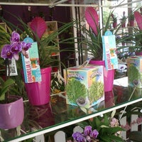 Photo taken at Bouquet Flores y Plantas by Business o. on 5/13/2020