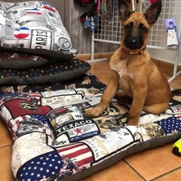 Photo taken at MamaDog Grooming &amp;amp; Pet Shop by Business o. on 2/17/2020