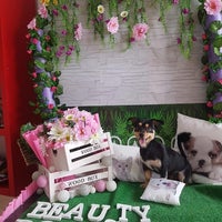 Photo taken at Beauty Dog by Business o. on 2/17/2020