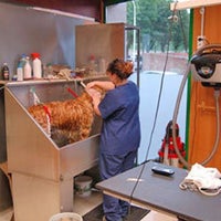 Photo taken at Clinica Veterinaria Mon Animal Berga by Business o. on 2/17/2020