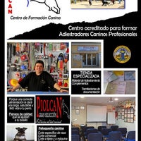 Снимок сделан в Piolcan Adiestramiento Canino y centro de formación пользователем Business o. 3/6/2020