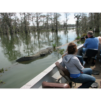 3/31/2018 tarihinde Business o.ziyaretçi tarafından Cajun Country Swamp Tours'de çekilen fotoğraf