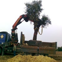 3/19/2020 tarihinde Business o.ziyaretçi tarafından INDIGO JARDINES'de çekilen fotoğraf