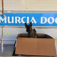 Photo taken at Murcia Dog by Business o. on 5/13/2020