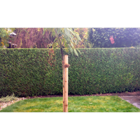 Sven Jocks Haus Und Gartenservice Windesheim Rheinland Pfalz