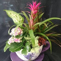 Photo taken at Floristería Imabel by Business o. on 6/16/2020