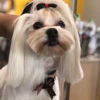 Photo taken at MamaDog Grooming &amp;amp; Pet Shop by Business o. on 2/17/2020
