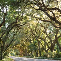 Photo taken at Magnolia Springs Bed and Breakfast by Business o. on 7/18/2019