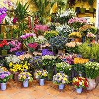 Photo taken at Floristería Rosas by Business o. on 3/4/2020