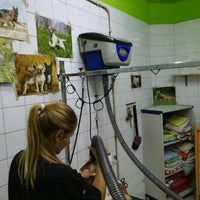Photo taken at CLÍNICA VETERINARIA FORT PIUS by Business o. on 2/17/2020