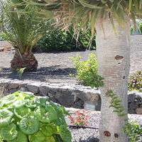 Photo taken at Casa Rural en Lanzarote - Finca Isabel by Business o. on 2/16/2020