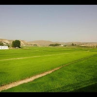 2/17/2020 tarihinde Business o.ziyaretçi tarafından Flor de Calasparra'de çekilen fotoğraf