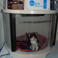 Снимок сделан в Centro Veterinario Veracruz пользователем Business o. 6/16/2020