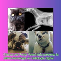 Photo taken at Les Fonts Veterinaria by Business o. on 5/15/2020