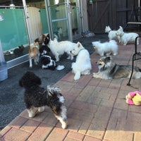 Photo taken at Pupcakes Playcare by Pupcakes P. on 3/7/2016