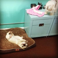 Photo taken at Pupcakes Playcare by Pupcakes P. on 2/2/2016