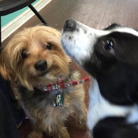 Photo taken at Pupcakes Playcare by Pupcakes P. on 2/5/2016