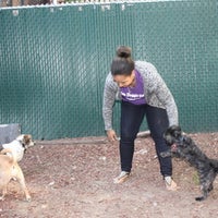 Foto tomada en Harlem Doggie Day Spa  por Harlem Doggie Day Spa el 9/20/2013