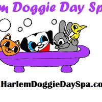 9/20/2013 tarihinde Harlem Doggie Day Spaziyaretçi tarafından Harlem Doggie Day Spa'de çekilen fotoğraf