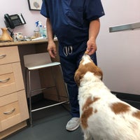 Photo taken at One Love Animal Hospital by Tessa J. on 9/5/2018